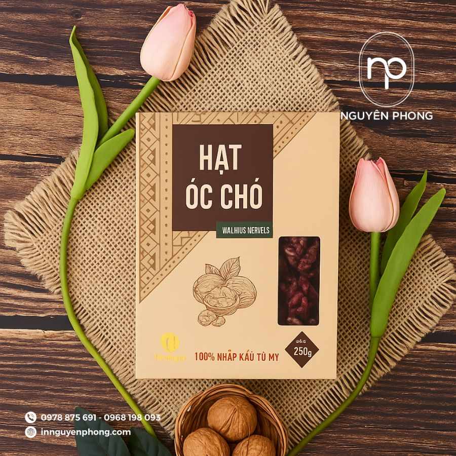 Hộp Giấy Đựng Óc Chó Sang Trọng, Bảo Quản Tươi Ngon